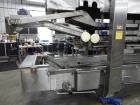 Convenience Food Systems Fryer